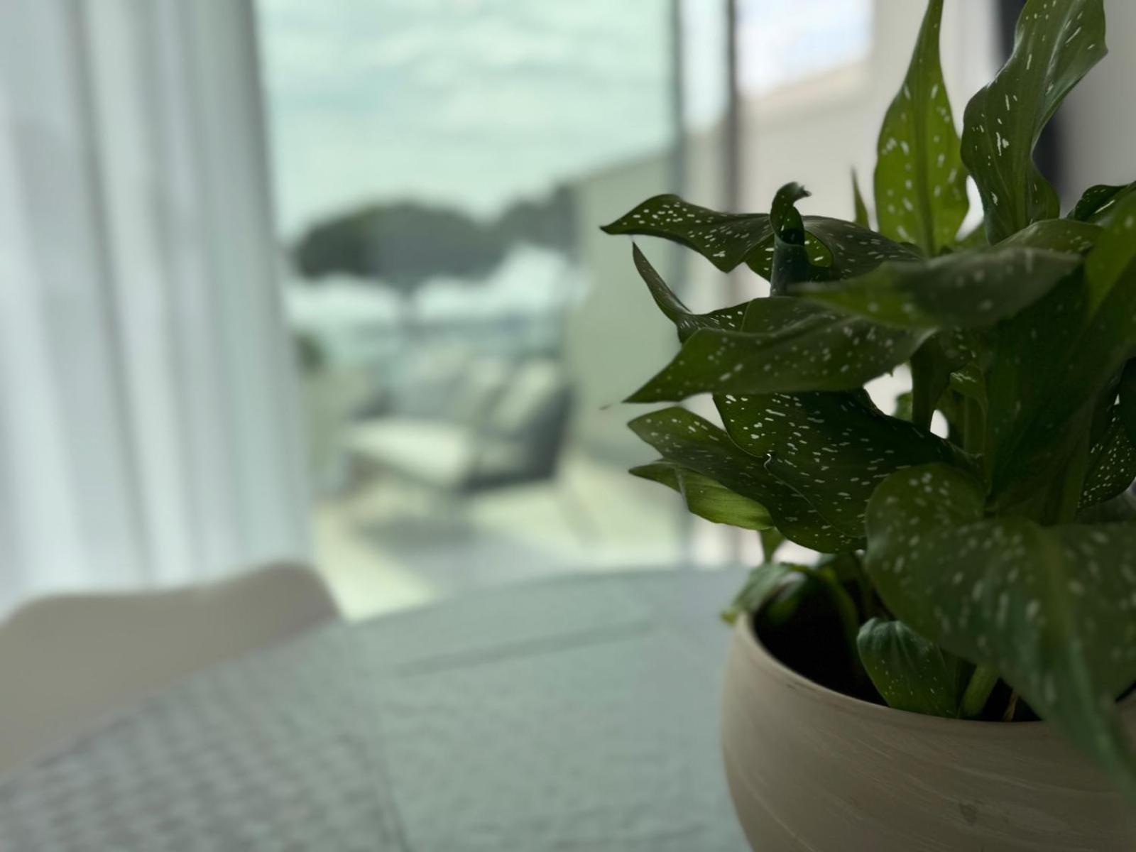 Iitana Luxury Apartment - Fronte Mare Con Vasca Idromassaggio Catânia Exterior foto